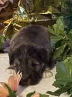 processed/a42386a3-90d1-4fb9-9c5e-257e923d7411/listing/59bb4502-f1b6-4cff-b62e-17cae5ef2f58/9d85fb4f-559f-4b00-9586-15baaaf92b4d