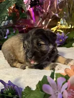 processed/a42386a3-90d1-4fb9-9c5e-257e923d7411/listing/59bb4502-f1b6-4cff-b62e-17cae5ef2f58/b9ad2098-5877-4cc2-a98a-374ab860a64e