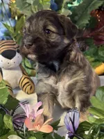 processed/a42386a3-90d1-4fb9-9c5e-257e923d7411/listing/59bb4502-f1b6-4cff-b62e-17cae5ef2f58/da1220e6-7f20-4487-a00e-327c073bd6e7