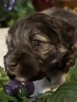 processed/a42386a3-90d1-4fb9-9c5e-257e923d7411/listing/59bb4502-f1b6-4cff-b62e-17cae5ef2f58/fcfcaf16-ae92-4d66-b1ae-965bf9cdb366