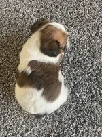 processed/a42686e5-96e8-440d-8c6d-704783db865c/listing/664e795b-9b9f-4666-8490-f8370a109c33/95ab6509-d421-45ce-8db4-28d864da05f2