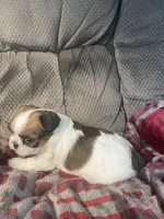 processed/a42686e5-96e8-440d-8c6d-704783db865c/listing/664e795b-9b9f-4666-8490-f8370a109c33/a706dbb9-77a9-4005-af78-56bfd5b88680