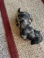 processed/a42686e5-96e8-440d-8c6d-704783db865c/listing/81df44eb-d5ea-4e95-ac4f-a2aa65875b8a/83f22032-f909-454d-b447-ba987f23003d