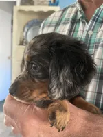 processed/a42686e5-96e8-440d-8c6d-704783db865c/listing/81df44eb-d5ea-4e95-ac4f-a2aa65875b8a/8ffcca47-d179-4f10-ac73-b1d6d3d532c7