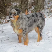 processed/a4386b93-9337-483a-887b-dc5366ae5d28/facility/5d8fd81f-bc8d-4afb-9265-a9009fa5345b