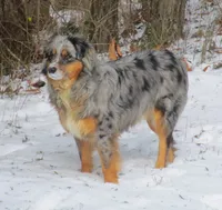 processed/a4386b93-9337-483a-887b-dc5366ae5d28/facility/5d8fd81f-bc8d-4afb-9265-a9009fa5345b