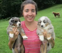 processed/a4386b93-9337-483a-887b-dc5366ae5d28/facility/a83ef989-adc8-41af-bd89-bff5a6737182