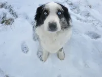 processed/a4386b93-9337-483a-887b-dc5366ae5d28/listing/75f08502-2d12-4adb-b56b-1a1ae35cc75b/4147ca35-ccbd-47e2-ae22-257f5735927c