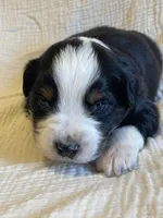 processed/a4386b93-9337-483a-887b-dc5366ae5d28/listing/75f08502-2d12-4adb-b56b-1a1ae35cc75b/6cee312c-bf9a-4cb7-8652-d1b009ee41b5