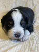 processed/a4386b93-9337-483a-887b-dc5366ae5d28/listing/75f08502-2d12-4adb-b56b-1a1ae35cc75b/88017027-5ac6-4045-8c17-db63bc969094