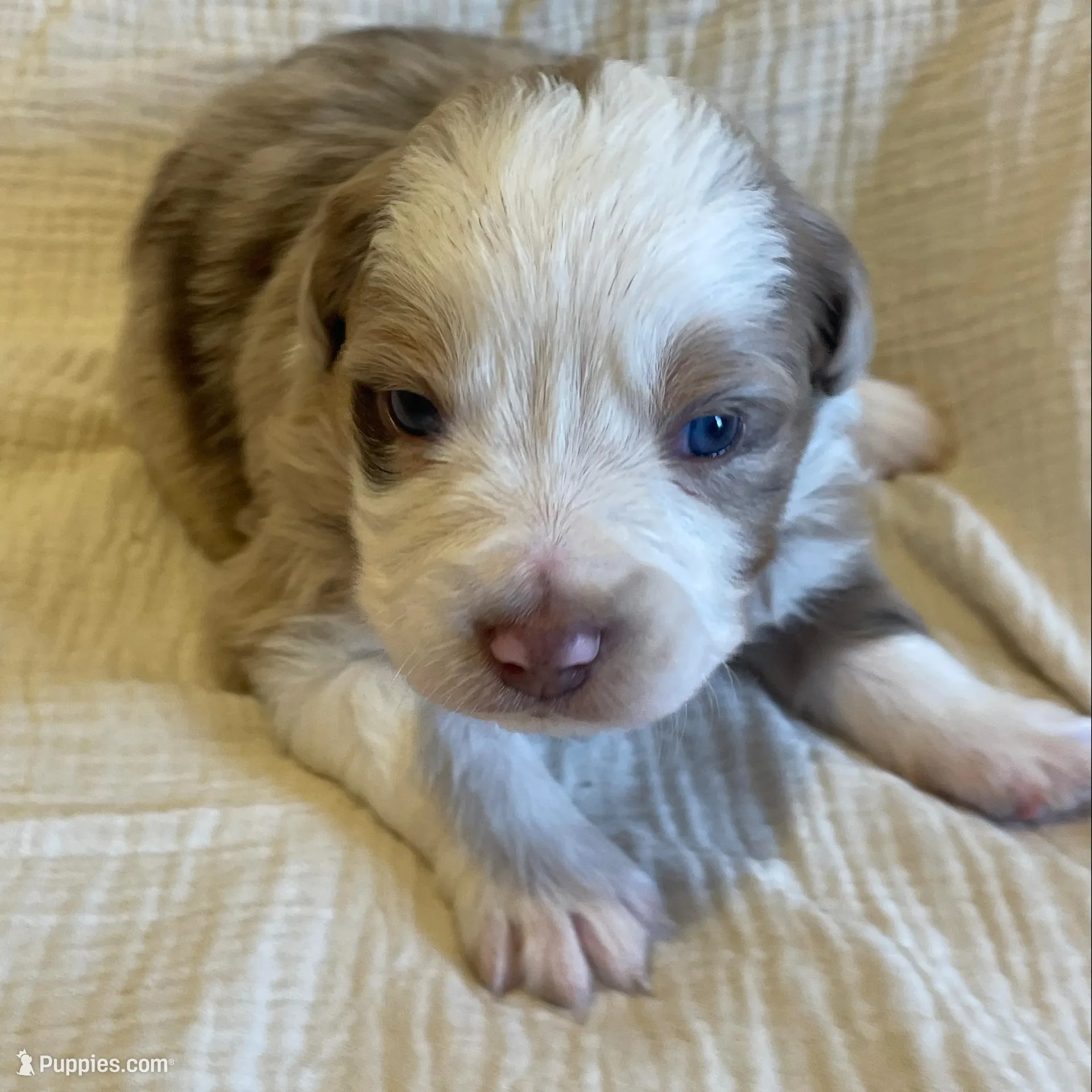 processed/a4386b93-9337-483a-887b-dc5366ae5d28/listing/75f5dad9-f082-46a9-a9de-8d58c995aaa2/f1dc550d-0849-457b-b6f4-f17bd197a3ec