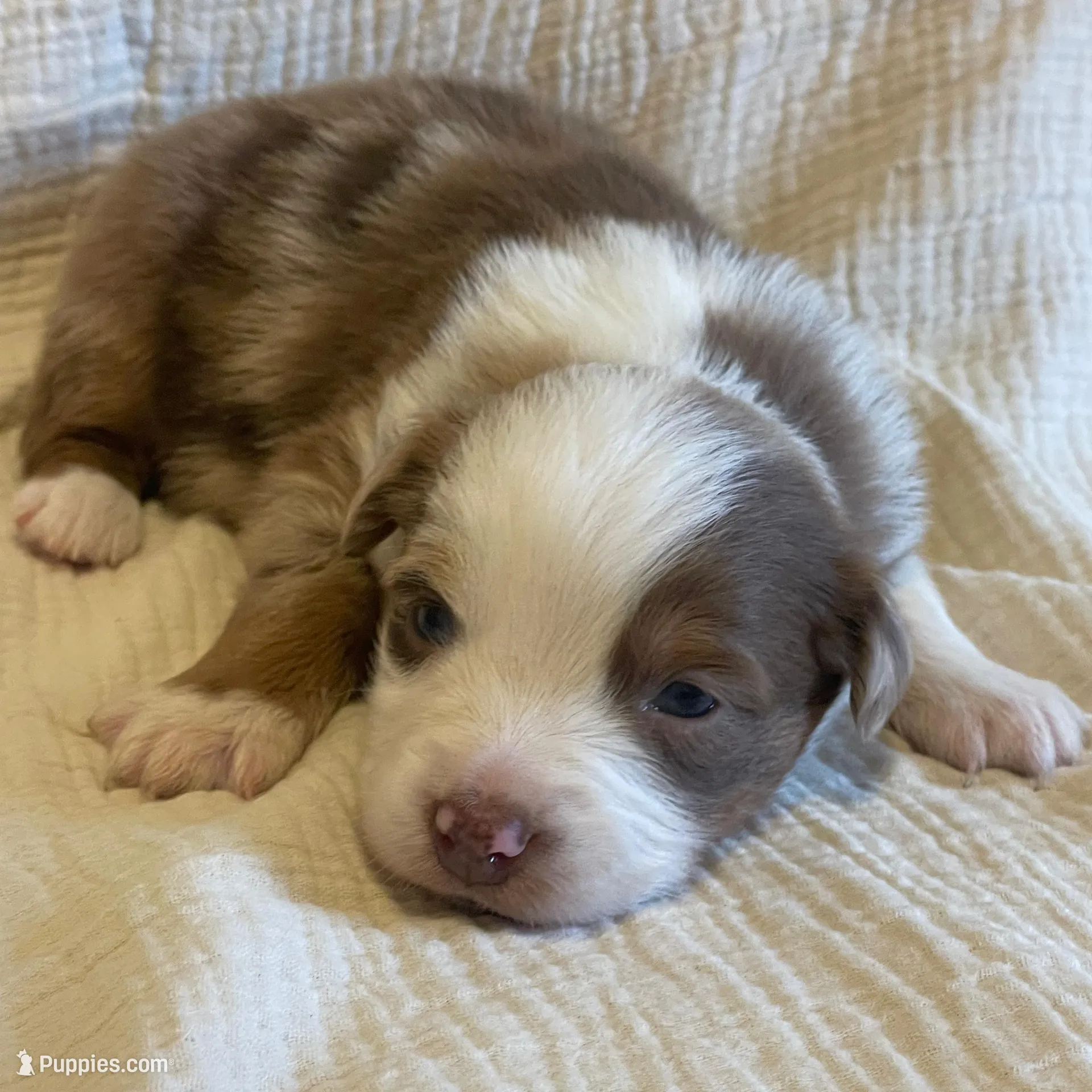 processed/a4386b93-9337-483a-887b-dc5366ae5d28/listing/9e99068c-09ba-47c5-bf20-5316546f4712/37743e5f-4394-4767-b217-97b10226e81e