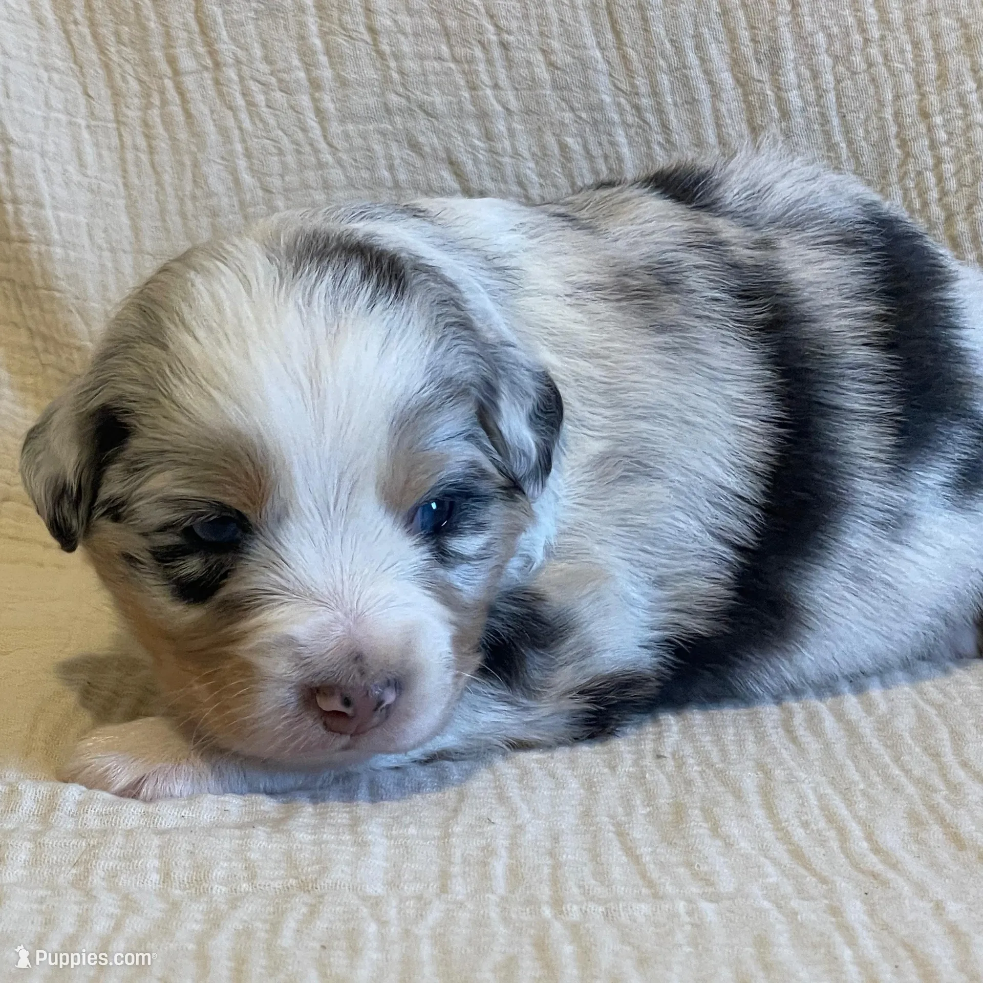 processed/a4386b93-9337-483a-887b-dc5366ae5d28/listing/b462b002-da9a-4a63-90a5-2c3802f1ae38/e149b08c-0acc-4488-9942-631f6a7d1cbb