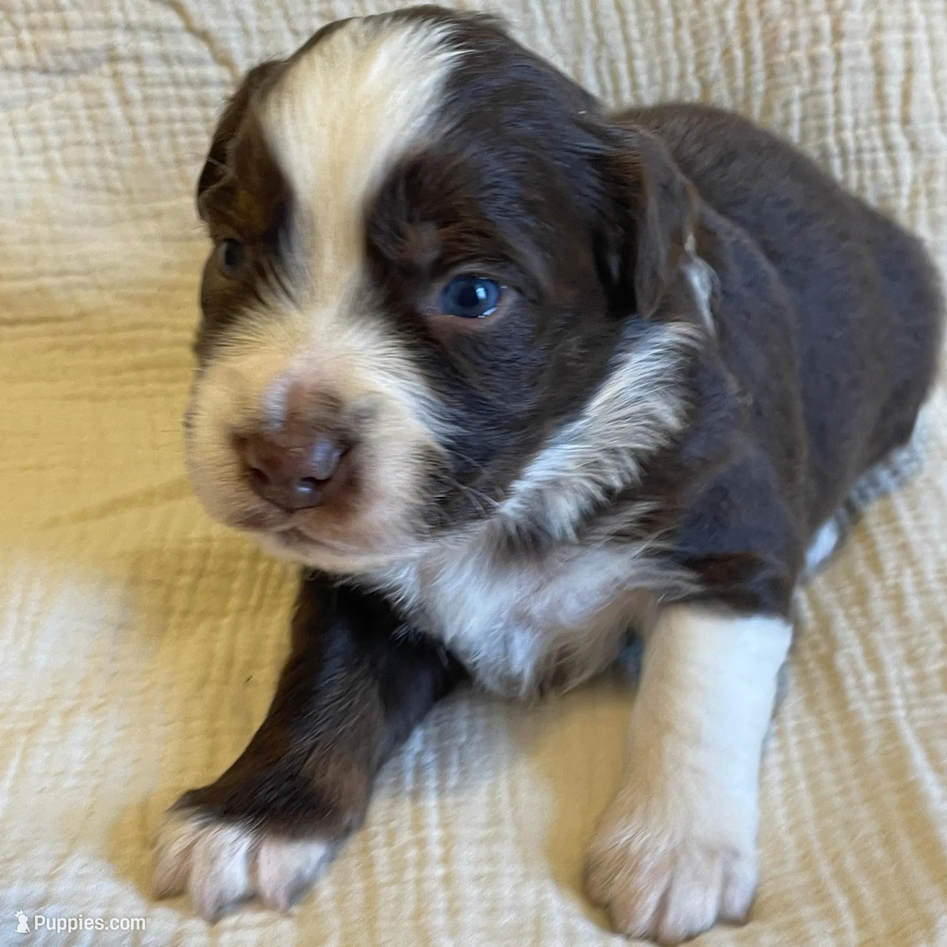 processed/a4386b93-9337-483a-887b-dc5366ae5d28/listing/df909cc0-fb75-47ad-8278-56943af4a7d3/3329ec7a-9f78-44fd-8ee8-e6ae10550116