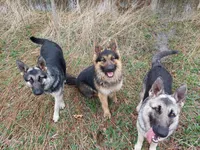 processed/a438e2ec-7314-4e79-bcd3-3f17615af988/facility/666b952c-8397-4e5d-a62b-a0e66b7ffa71