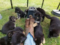 processed/a438e2ec-7314-4e79-bcd3-3f17615af988/facility/c4dcae1e-d13f-4633-811f-c47721dd3c01