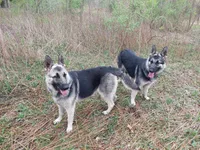 processed/a438e2ec-7314-4e79-bcd3-3f17615af988/facility/d7305015-c31a-438f-baf7-98f8273067e7