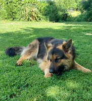 processed/a438e2ec-7314-4e79-bcd3-3f17615af988/facility/ea55a58d-44b3-4af5-9fa1-01ffabf19934