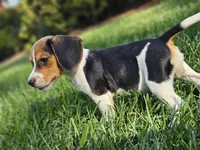 processed/a44b0182-6d6e-46dd-b70e-244f103bd3cd/facility/8e807e56-0ee7-448d-b71f-35f99660ba7c