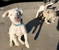 processed/a44b8ea3-3207-492b-9158-040a26079092/listing/3557be26-dd1e-41bc-bfc7-2a167d65aef3/09157aee-6d6d-4a04-b024-accfa6cce5dc