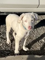 processed/a44b8ea3-3207-492b-9158-040a26079092/listing/3557be26-dd1e-41bc-bfc7-2a167d65aef3/13856892-502e-4c03-9598-74d2a719bca6