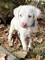 processed/a44b8ea3-3207-492b-9158-040a26079092/listing/3557be26-dd1e-41bc-bfc7-2a167d65aef3/5d753067-31f6-4c9c-b678-823e0bcada45