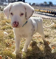 processed/a44b8ea3-3207-492b-9158-040a26079092/listing/3557be26-dd1e-41bc-bfc7-2a167d65aef3/d1ff7e54-4be7-4a49-9667-59fc379644ce