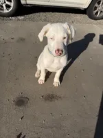 processed/a44b8ea3-3207-492b-9158-040a26079092/listing/3557be26-dd1e-41bc-bfc7-2a167d65aef3/d3b71df8-7872-48e7-b8c5-ab3b4f1bd3b3