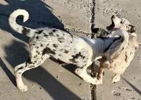 processed/a44b8ea3-3207-492b-9158-040a26079092/listing/8599ee7a-2c9e-48e1-bec2-d8ecb01648f4/2904f2f5-fd0c-4416-b7cd-6b6321a8ca05