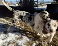 processed/a44b8ea3-3207-492b-9158-040a26079092/listing/8599ee7a-2c9e-48e1-bec2-d8ecb01648f4/2a75cc51-6e8c-4581-95ff-57400db12b82