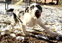 processed/a44b8ea3-3207-492b-9158-040a26079092/listing/8599ee7a-2c9e-48e1-bec2-d8ecb01648f4/56a7d2da-14ef-4d80-a607-d684736ecf5d