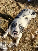 processed/a44b8ea3-3207-492b-9158-040a26079092/listing/8599ee7a-2c9e-48e1-bec2-d8ecb01648f4/956b2b34-ecac-4ad3-ac16-ed8716bfb1f7