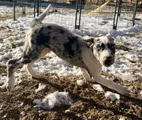 processed/a44b8ea3-3207-492b-9158-040a26079092/listing/8599ee7a-2c9e-48e1-bec2-d8ecb01648f4/9cafb250-a52b-4b1c-a740-bb3665fcedf5