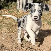 processed/a44b8ea3-3207-492b-9158-040a26079092/listing/8599ee7a-2c9e-48e1-bec2-d8ecb01648f4/eb792fee-6d40-421e-9b25-a036ddde42e8