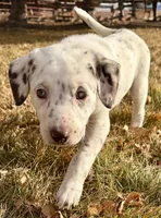 processed/a44b8ea3-3207-492b-9158-040a26079092/listing/cd0eba05-1365-4040-b3c9-9439dff3a33a/0ca4524e-c274-4707-89d3-cdd2abd4b1db