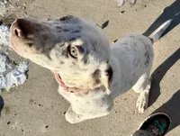 processed/a44b8ea3-3207-492b-9158-040a26079092/listing/cd0eba05-1365-4040-b3c9-9439dff3a33a/9abfe2bb-7e39-4d39-8c80-8eca63a98b86