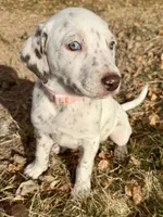 processed/a44b8ea3-3207-492b-9158-040a26079092/listing/cd0eba05-1365-4040-b3c9-9439dff3a33a/efe97803-9cef-4303-aea2-c2c5af411782