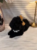 processed/a4540d5f-d644-4253-8143-1f06cabacdc1/listing/387bc479-7d43-476b-a194-f127f51d7e97/18179b08-8509-438b-b3bb-0cbdb71f4d45