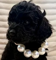 processed/a4540d5f-d644-4253-8143-1f06cabacdc1/listing/387bc479-7d43-476b-a194-f127f51d7e97/18953bd0-0643-474a-8571-6dc1a3816014