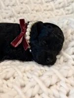 processed/a4540d5f-d644-4253-8143-1f06cabacdc1/listing/387bc479-7d43-476b-a194-f127f51d7e97/796ddbd1-ffc9-4dc7-bdb7-2c4a0e9694db