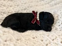 processed/a4540d5f-d644-4253-8143-1f06cabacdc1/listing/387bc479-7d43-476b-a194-f127f51d7e97/bebd88af-c36b-41bf-b483-1793d5ed0669