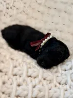 processed/a4540d5f-d644-4253-8143-1f06cabacdc1/listing/387bc479-7d43-476b-a194-f127f51d7e97/e77591c7-20e0-4b67-b788-af96116344b3