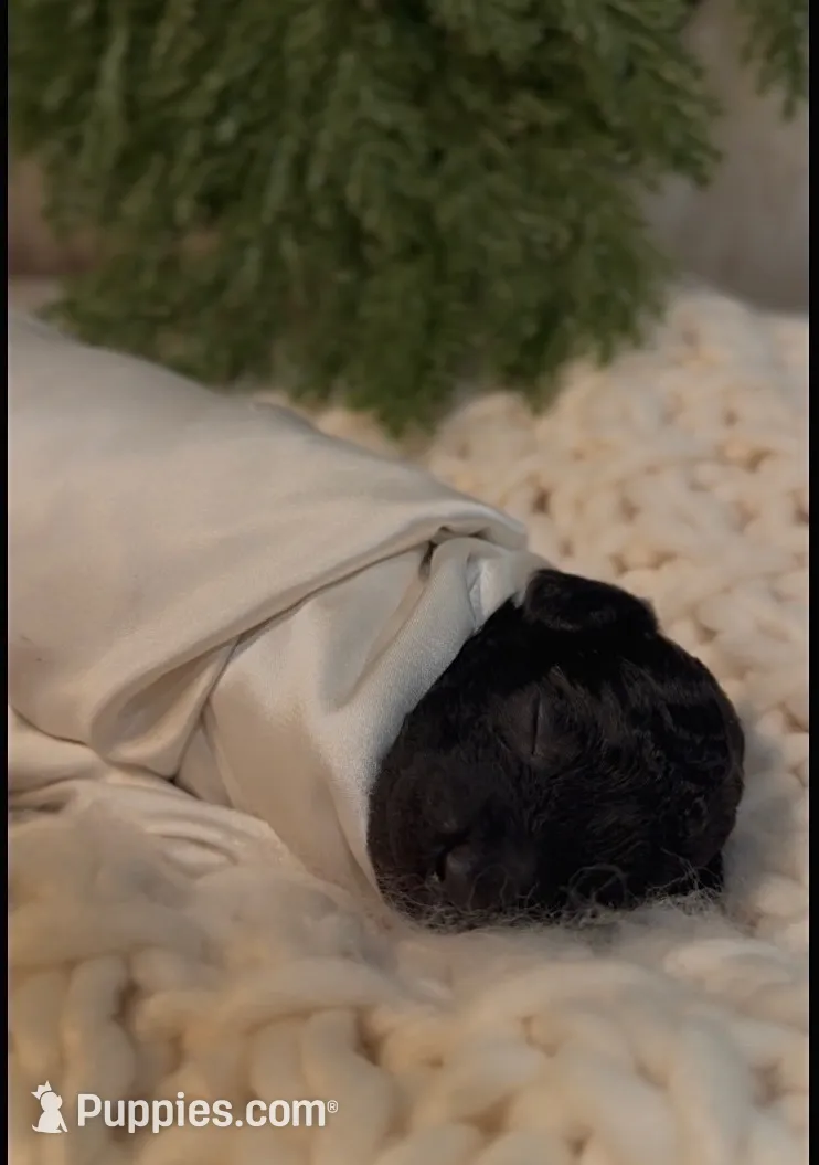 processed/a4540d5f-d644-4253-8143-1f06cabacdc1/listing/a0eccd70-688b-4cb8-a529-49520e9a83f8/010a269b-7fd3-4df0-b853-02737fd1e8d8