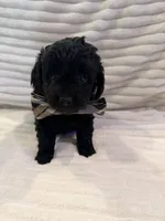 processed/a4540d5f-d644-4253-8143-1f06cabacdc1/listing/a0eccd70-688b-4cb8-a529-49520e9a83f8/9a200989-51ec-4246-9b7d-ac88738dffad