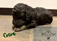 processed/a45674b5-7d1e-4ace-b89e-60445b88789c/listing/c3099202-c900-4d31-91de-d8797f3d8463/3e07af5f-ff16-4143-8079-bab6c60a701f