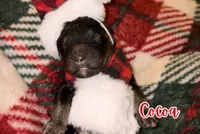 processed/a45674b5-7d1e-4ace-b89e-60445b88789c/listing/c3099202-c900-4d31-91de-d8797f3d8463/98299517-16a0-41a3-8ad9-9c1d7dec52f0