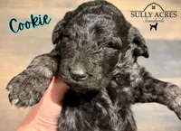 processed/a45674b5-7d1e-4ace-b89e-60445b88789c/listing/e510db22-2202-4ed2-b089-d741a631d244/04914f4a-e6fb-4110-88f5-dd3b48770dcf