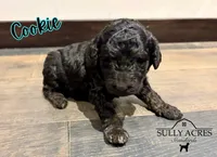 processed/a45674b5-7d1e-4ace-b89e-60445b88789c/listing/e510db22-2202-4ed2-b089-d741a631d244/6719a2d1-73e6-4c4c-8257-d8edc5bff333