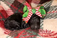 processed/a45674b5-7d1e-4ace-b89e-60445b88789c/listing/e510db22-2202-4ed2-b089-d741a631d244/b023defa-ce1c-4b77-af62-6e0cce5c1d02