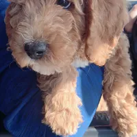 processed/a45a337c-74cd-42bf-a916-d1692b45e1db/facility/022393b0-7f9e-44a8-bfa2-88943ffed0d1